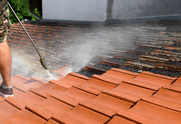 Best Exterior Home Cleaning  in Gloucester City, NJ